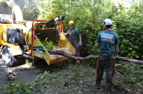 tree services Village of Oak Creek